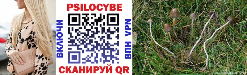 Псилоцибиновые грибы прущие грибы  Шарья 