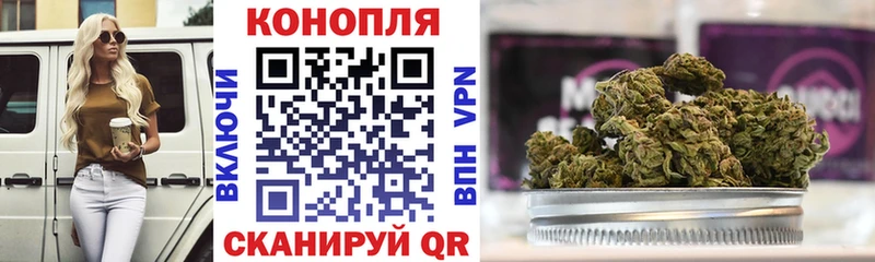 как найти закладки  Шарья  Конопля Amnesia 
